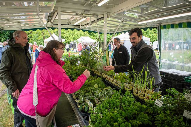 Gärtner Christian Dieckmann